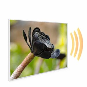 995×1195 Exotic Bloom Picture NXT Gen Infrared Heating Panel 1200W – Electric Wall Panel Heater