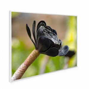 995×1195 Exotic Bloom Picture NXT Gen Infrared Heating Panel 1200W – Electric Wall Panel Heater