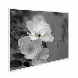 995×1195 Pollination Image NXT Gen Infrared Heating Panel 1200W – Electric Wall Panel Heater