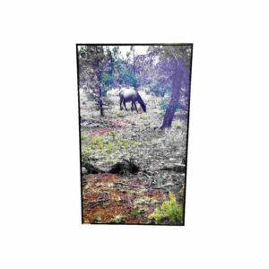 580W Woodland Horse Custom Image NXT Infrared Heating Panel – Grade B (Black Frame)