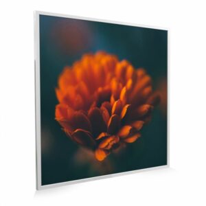 595×595 Flower Image NXT Gen Infrared Heating Panel 350W – Electric Wall Panel Heater