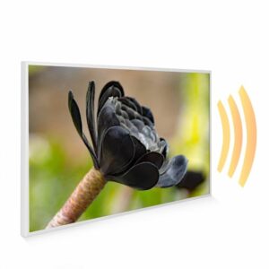 795×1195 Exotic Bloom Image NXT Gen Infrared Heating Panel 900W – Electric Wall Panel Heater