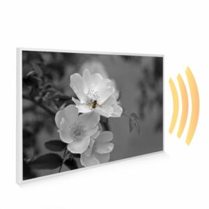 795×1195 Pollination Picture NXT Gen Infrared Heating Panel 900W – Electric Wall Panel Heater