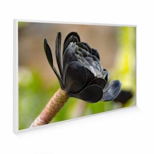 795×1195 Exotic Bloom Image NXT Gen Infrared Heating Panel 900W – Electric Wall Panel Heater