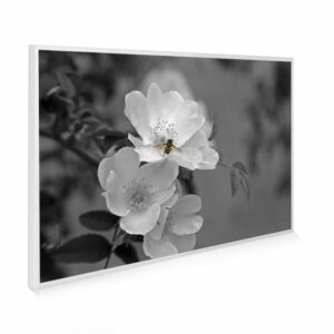 795×1195 Pollination Picture NXT Gen Infrared Heating Panel 900W – Electric Wall Panel Heater